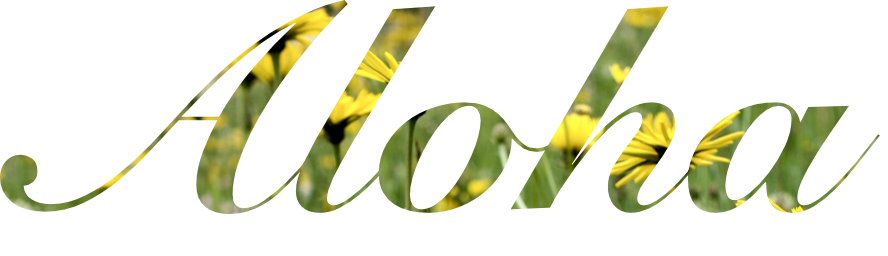 Wir erfinden uns neu.